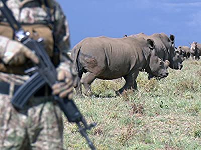 Friendly Fire/The Rhino Crisis